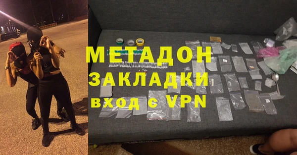 шишки Абаза