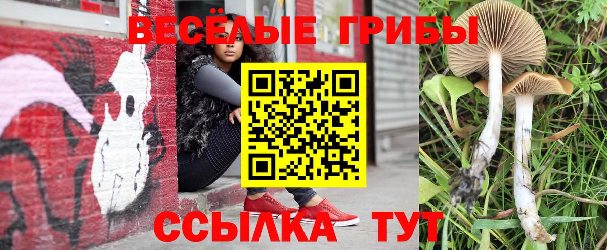 Псилоцибиновые грибы мухоморы  что такое   Вход с VPN  Кудымкар  Псилоцибиновые грибы Psilocybe 