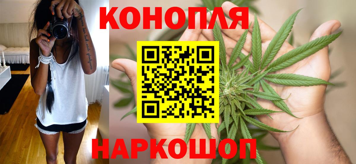 Кудымкар  Марихуана планчик  Вход с VPN  Бошки марихуана конопля 